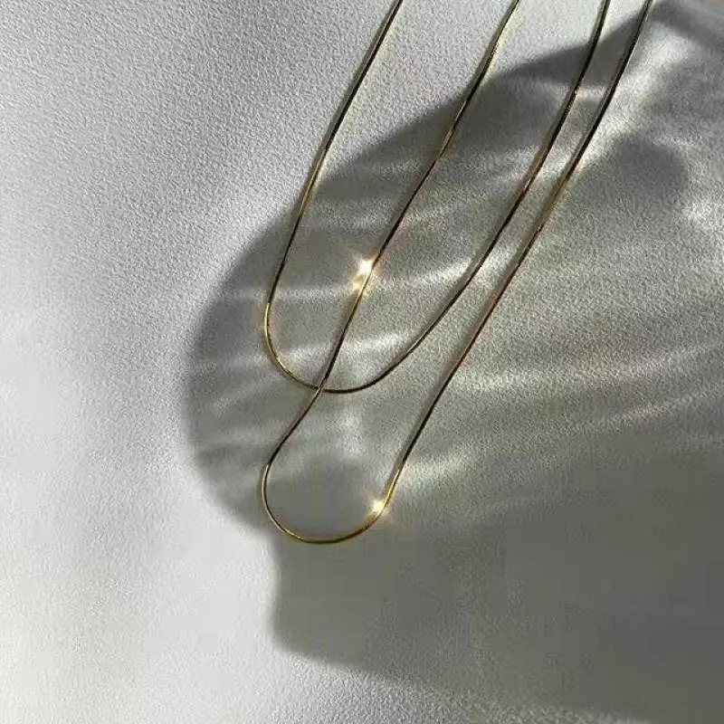 Simple Titanium Steel Snake Bone Chain-3