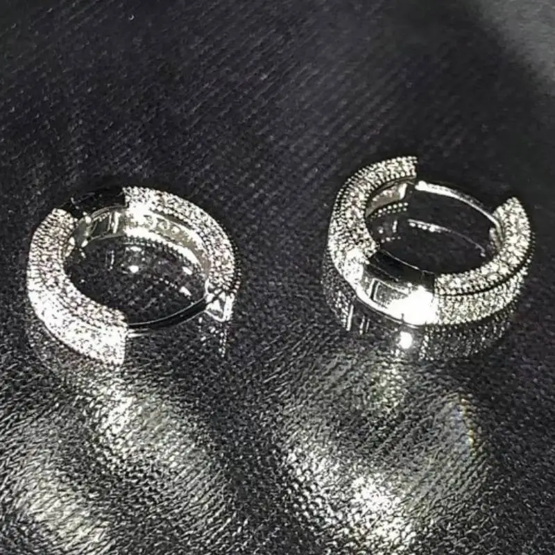 Versatile Zircon Silver Earrings-3