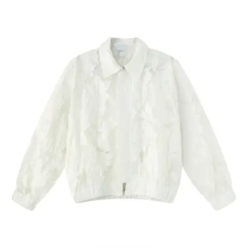 New Arrival Loose Short-Sleeved Niche Semi-Transparent Embroidered Jacket