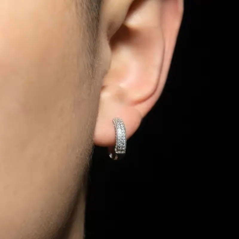 Versatile Zircon Silver Earrings-1